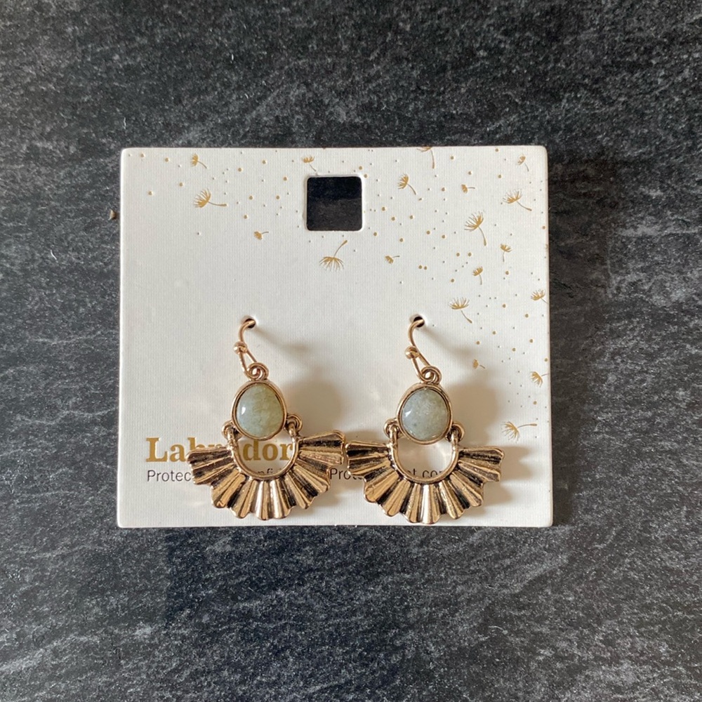 Labradorite Drop Earrings